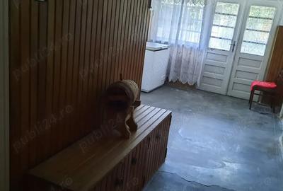 Casa si teren de vanzare Localitatea Hotar - Comuna Tetchea - 3