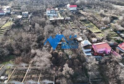 Teren intravilan BIDIDIA, zona deosebita, 550MP - 9