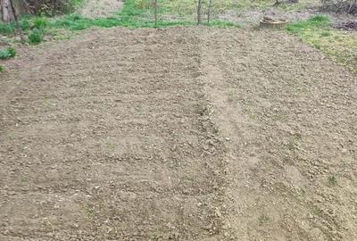 Casă cu Teren 3000 Mp în Moscu - 7