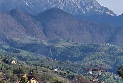 7.000 mp, pozitie spectaculoasa, fara vecini, Fundatica, Brasov - 11