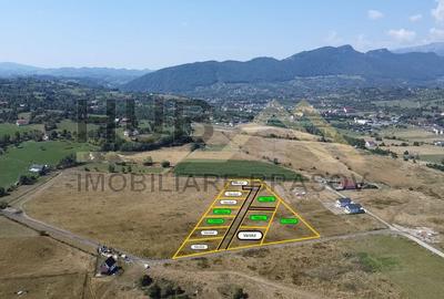 Loturi Teren Tohanul Nou | Zarnesti | Curent In Apropiere - 2