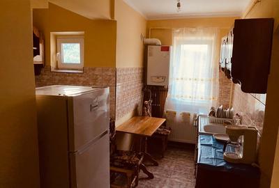 Apartament cu 2 camere decomandat în Geoagiu-Băi - 5