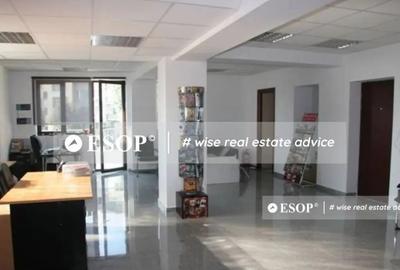 Spațiu comercial, de 660 mp, în Domenii - 6