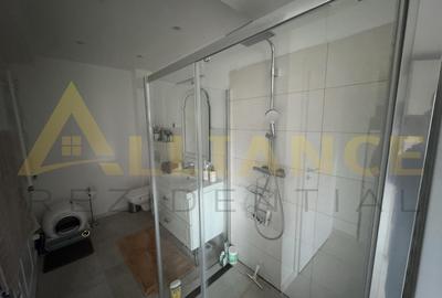 Splaiul Unirii Vila P+1+M, Mobilata si Utilata - 4 camere, 2 bai - 20