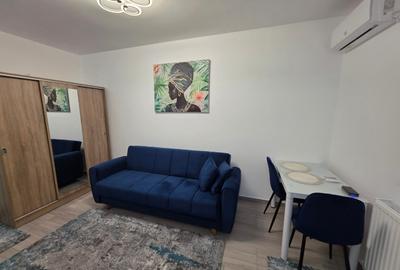 Decebal, Rond Alba Iulia, pe Moise Nicoara, renovata, mobilata si utilata lux - 8