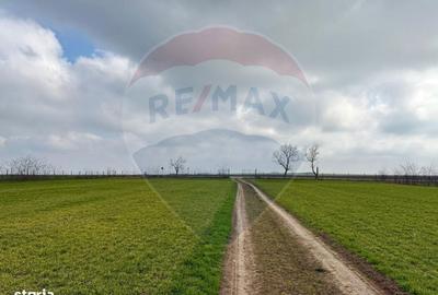 Spațiu comercial, în Săcele - 11