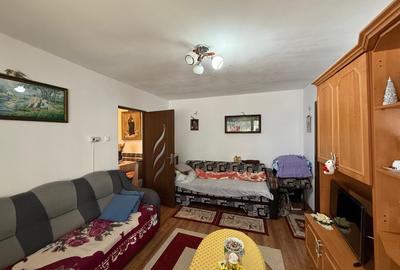 Apartament cu 2 camere semidecomandat în Gojdu - 8