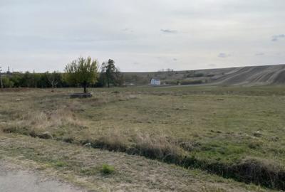 Teren extravilan 5000mp, Malu Mare, 0 comision la cumparator - 2