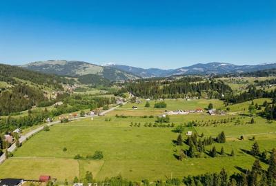 Teren agricol intravilan de 22000 mp, în Plaiu Șarului - 15