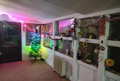 Cazare revelion , cabana , vila , capacitate 14 persoane - 1