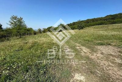 Teren extravilan de 10000 mp, în Sud - 2