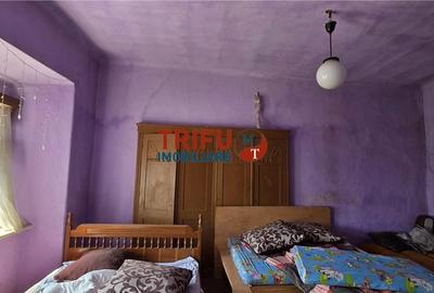 Casă cu 4 camere cu Teren 5000 Mp în Cricău - 5