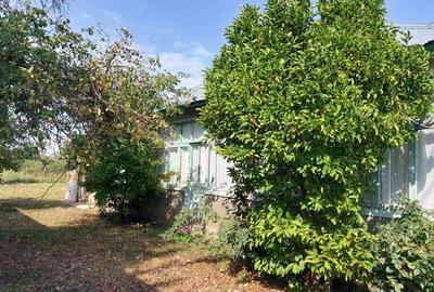 Casă cu 3 camere în Rălești - 7