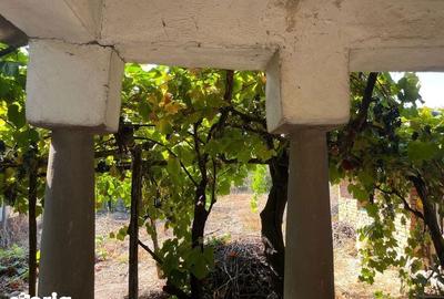 Casă cu 4 camere cu Teren 100 Mp în Rogova - 8