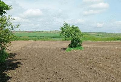 Vind casa cu gradina - 5