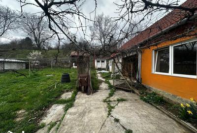Casă cu 4 camere cu Teren 1900 Mp în Șura Mare - 6