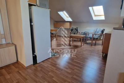 Casa individuala , centrala proprie , AC , curte , in oras - 10