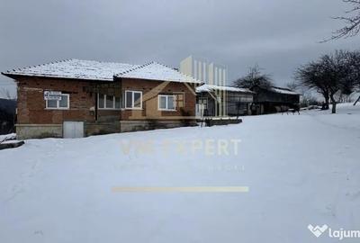 Casă cu 4 camere cu Teren 3038 Mp în Albești - 17