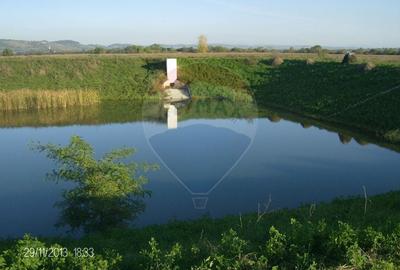 Proprietate industriala de vanzare - 102.420 mp - loc. Zauan jud.Salaj - 17