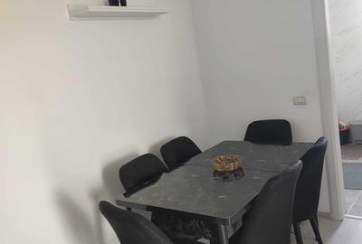 Apartament cu 2 camere semidecomandat în Valea Lupului - 7