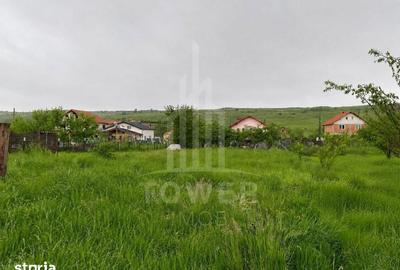 Casă cu 3 camere cu Teren 980 Mp în Central - 5