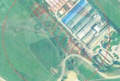 Teren de 11533 mp, în Merișor - 6