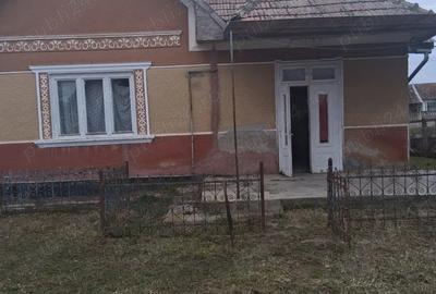 Casă cu 2 camere în Central - 4