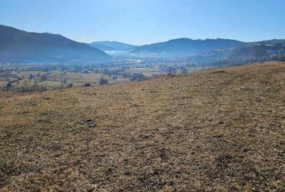 Teren extravilan de vanzare in Bucovina zona Frasin - 6