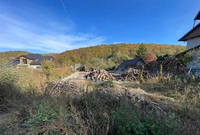 Teren intravilan 2500 mp - 3