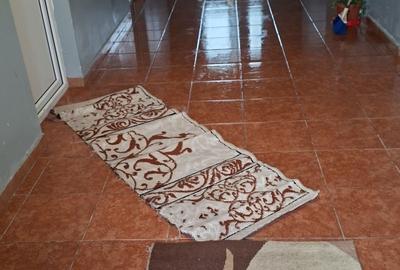Casă cu 3 camere cu Teren 5000 Mp în Central - 3