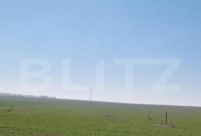 Teren intravilan cu o suprafata 1500 mp in zona Metro - 2