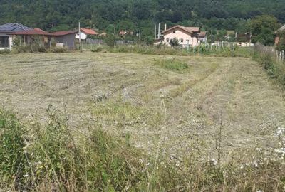 Spațiu comercial, în Balotești - 2