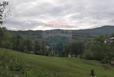 Teren de 4000 mp, în Moroeni - 2