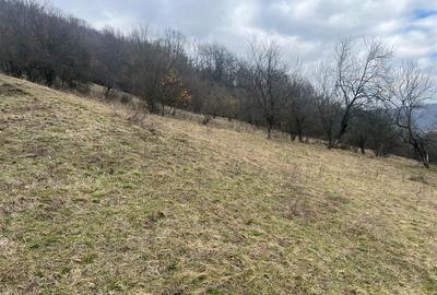 Teren intravilan de 11423 mp, în Luncoiu de Jos - 2