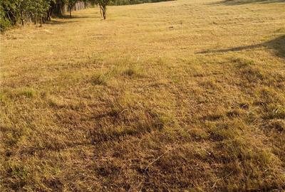 Teren de 2100 mp, în Rădăcinești - 9