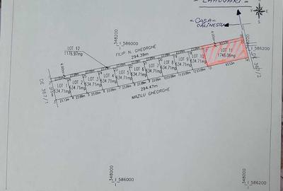 Saftica, Balotesti - 2