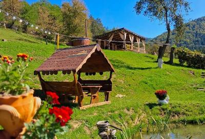 Casă cu 5 camere cu Teren 3900 Mp în Barticești - 17