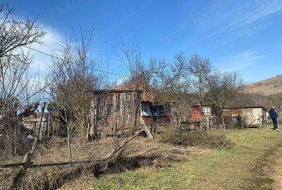 Teren de 5400 mp, în Cămărașu - 4