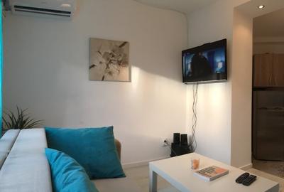 Apartament 2 camere de închiriat – Zonă Armeneasca-Rosetti - 2