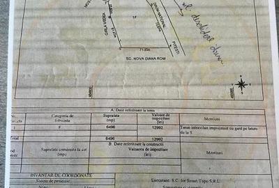 Teren intravilan 6.500 m2Deschidere 144 ml drum european E81, km 35, Moraresti - 3