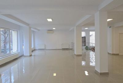 Spațiu comercial, de 300 mp, în Exterior Vest - 2