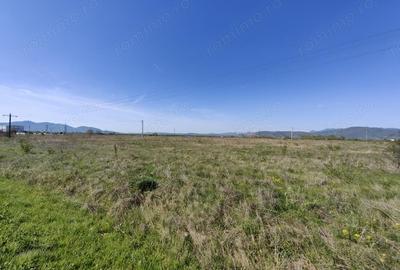 Teren în Simeria - 2