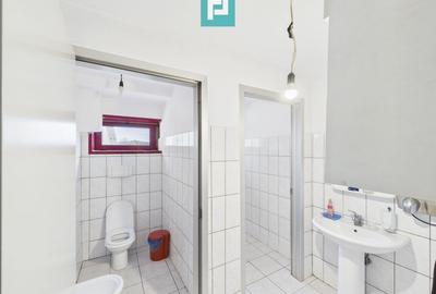 Hală de producție, cu birouri și teren, în Sebiș - 35