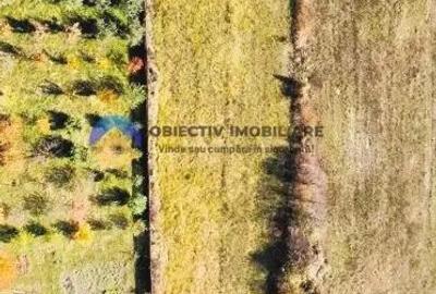 Teren de 2200 mp, în Gârcina - 6