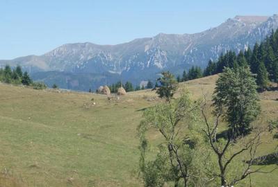 Teren de 5200 mp, în Fundata - 8