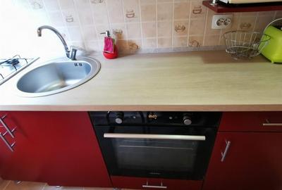 Apartament deosebit 2 camere parter zona Sagului - 4