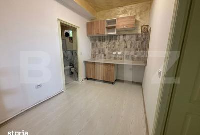 Apartament cu 2 camere semidecomandat, mobilat în Ciurea