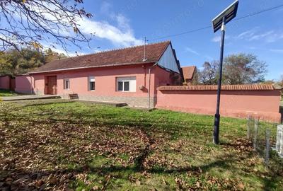 Casă cu Teren 1800 Mp în Nicolinț - 20