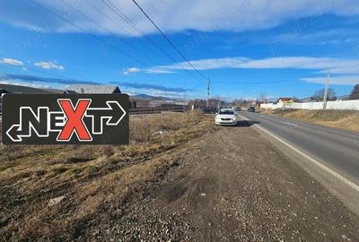 Teren Turturesti la strada principala Teren Turturesti la strada principala - 3