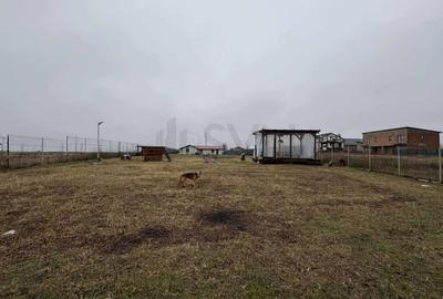 Teren Construcții intravilan de 3971 mp, în Vidra - 5